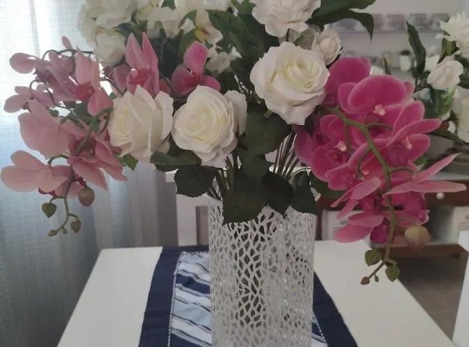 Civico 28 Casa de Férias Pula