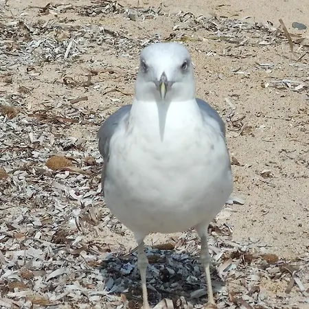 Civico 28 Prázdninový dům *